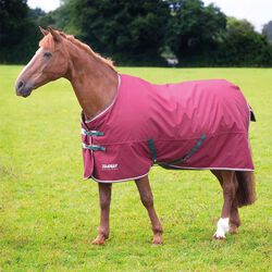 Shires Tempest Original 200g Turnout Blanket - Maroon