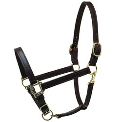 Perri's 1'' Leather Turnout Halter