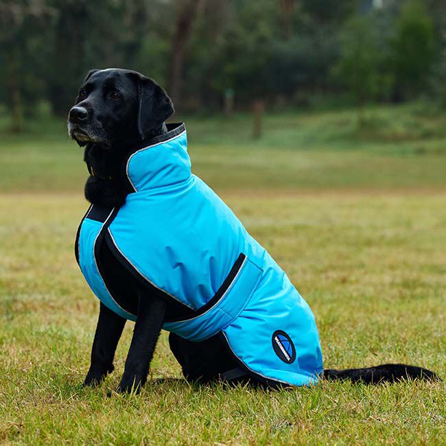 WeatherBeeta ComFiTec Deluxe Showerproof Dog Coat - Blue image number null