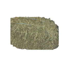 Second Cut Hay