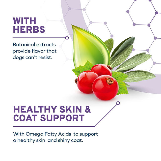 Forza10 DailyPro Sensitive Skin Support Food for Small Breed Dogs - 3.3 lb image number null