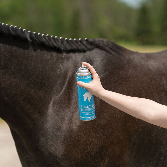 Ultra Final Touch Shining Spray image number null