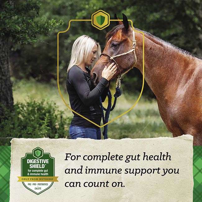 Nutrena SafeChoice Senior Molasses Free - 50 lb image number null