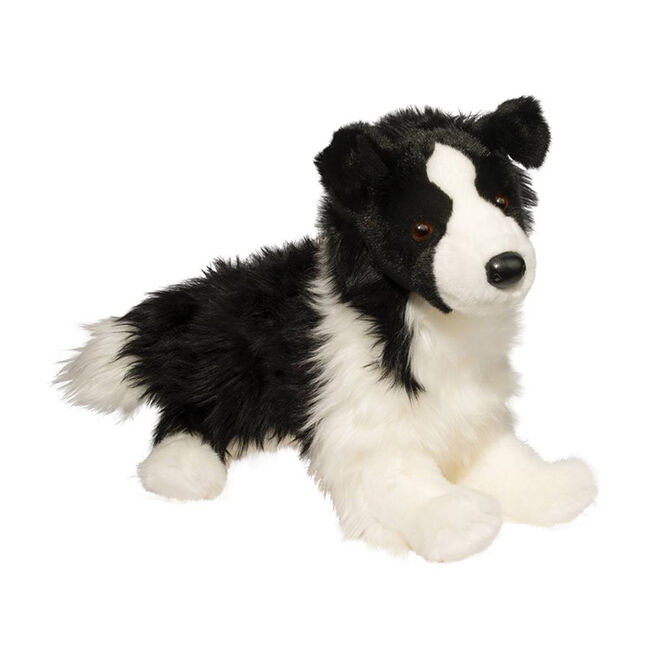 Douglas Chase Border Collie image number null
