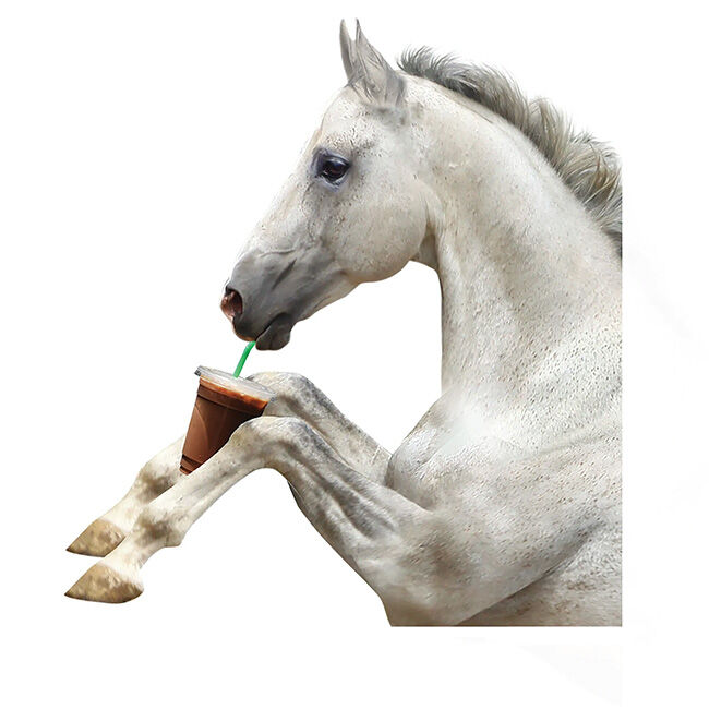 Horse Hollow Press Car Window Decal - Horse Drinking a Coffee image number null