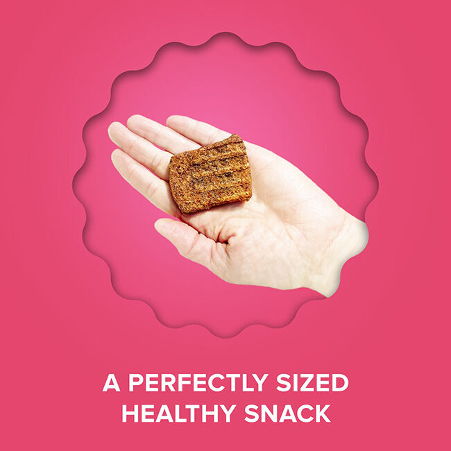 Plato Jerky Dog Treats - Duck with Cherry - 16 oz image number null