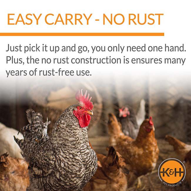 K&h poultry waterer hot sale