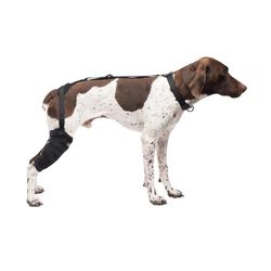 Caldera Stifle Therapy Wrap with Gel Pack for Dogs