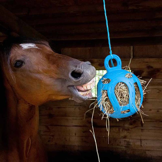 Horsemen's Pride Jolly Hay Ball image number null