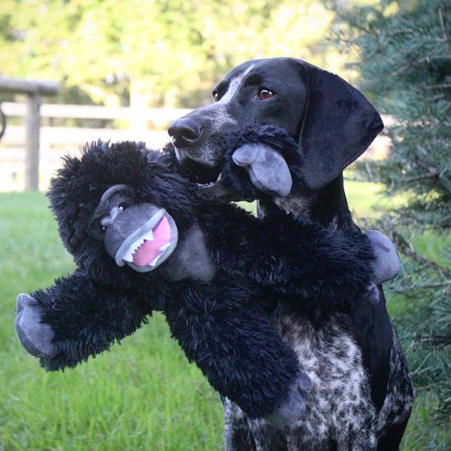 Tall Tails Rope Body Dog Toy - Gorilla | The Cheshire Horse Tall Tails Rope Body Dog Toy - Gorilla | The Cheshire Horse