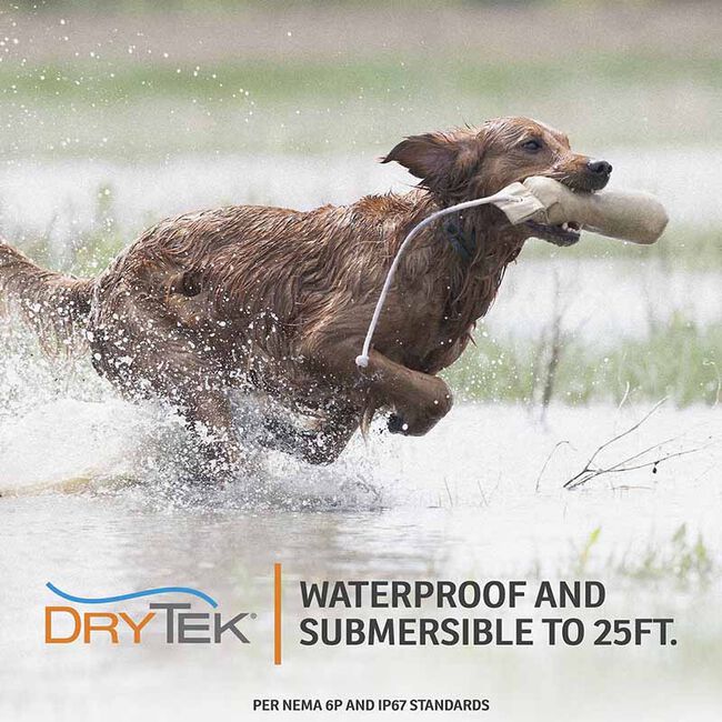 SportDOG FieldTrainer 425X image number null