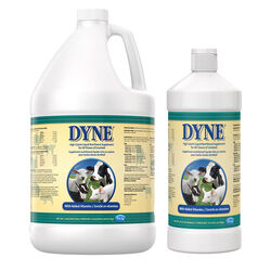 PetAg Dyne High Calorie Liquid Nutritional Supplement for Livestock