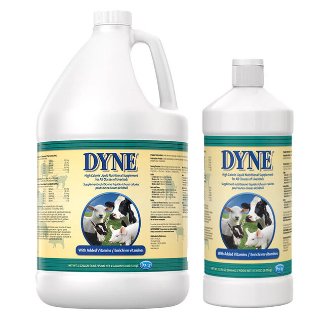 PetAg Dyne High Calorie Liquid Nutritional Supplement for Livestock  image number null
