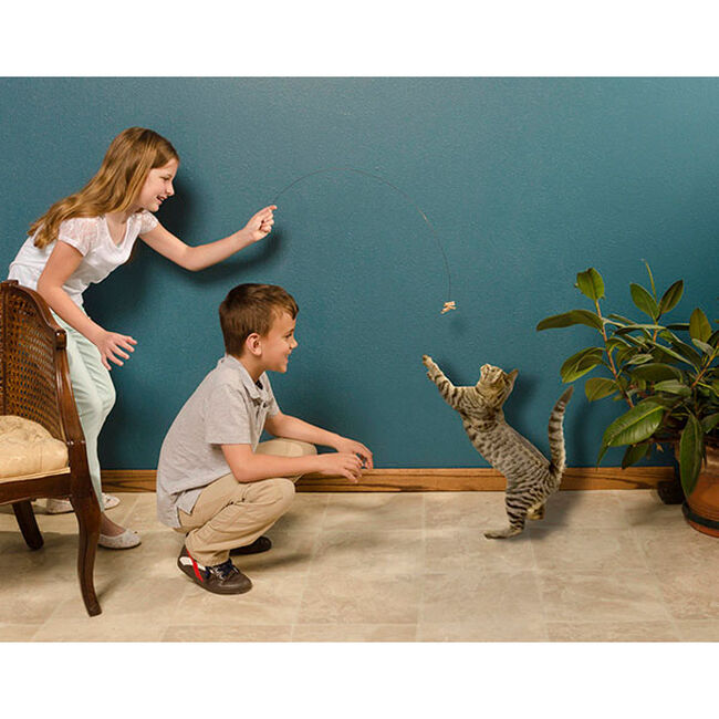 Cat Dancer Cat Toy image number null