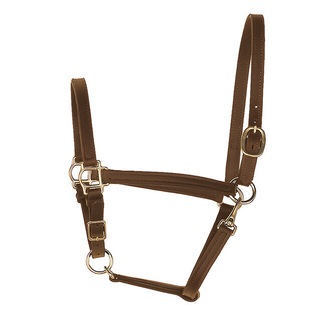 Perri's Leather 3/4'' Leather Turnout Halter image number null