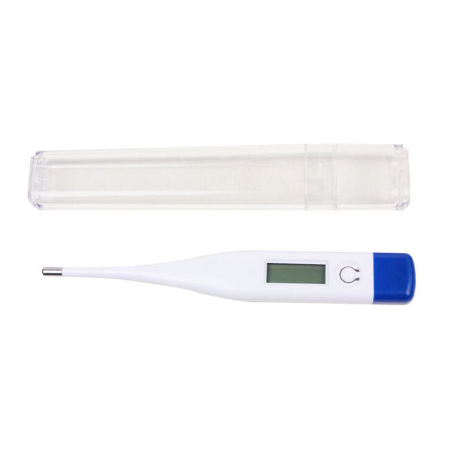 RJ Matthews Digital Thermometer  image number null