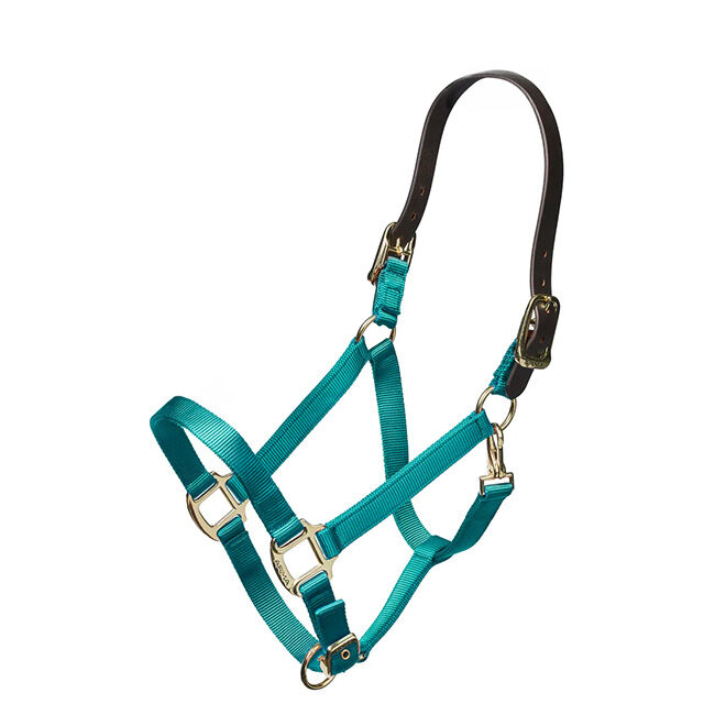 Shires Nylon Halter with Leather Head Strap image number null