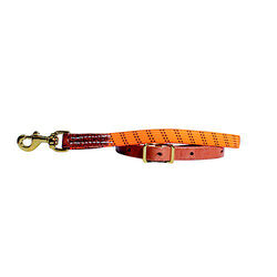 Schutz Brothers Elastic Tie Down - Closeout