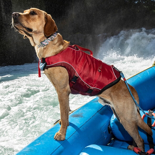 Kurgo Surf N Turf Dog Life Jacket image number null