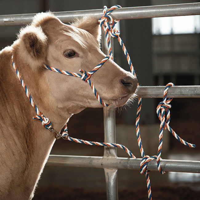 Weaver Livestock Adjustable Poly Neck Rope The Cheshire Horse