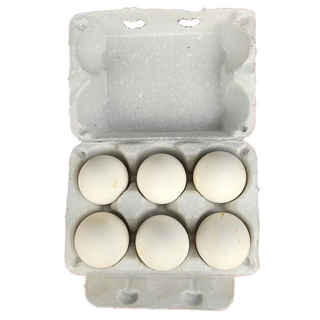 EggCartons.com Goose 6-Egg Recycled Pulp Carton image number null