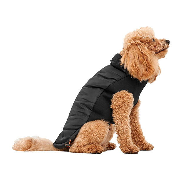Goo-eez Mock Neck Signature Wrap Jacket for Dogs - Black image number null