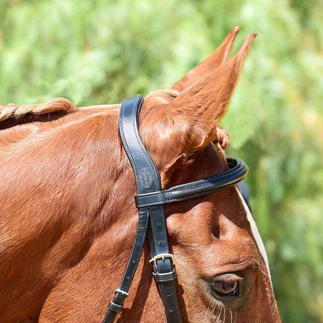 Bobby's English Tack Silver Spur Raised Padded Bridle with Flash image number null