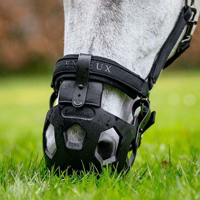 LeMieux Noma Grazing Muzzle - Black image number null