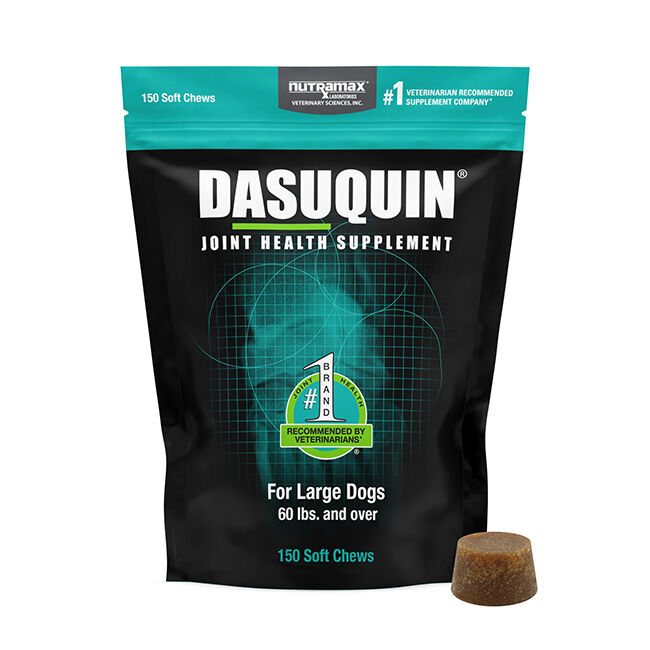 Nutramax Dasuquin for Large Dogs, Joint Health Supplement, Contains Glucosamine for Dogs, Plus Chondroitin, ASU and More, Supports Healthy Joints, Soft Chews image number null