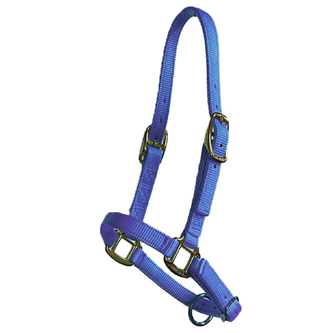 Triple E Adjustable Nylon Foal Halter image number null