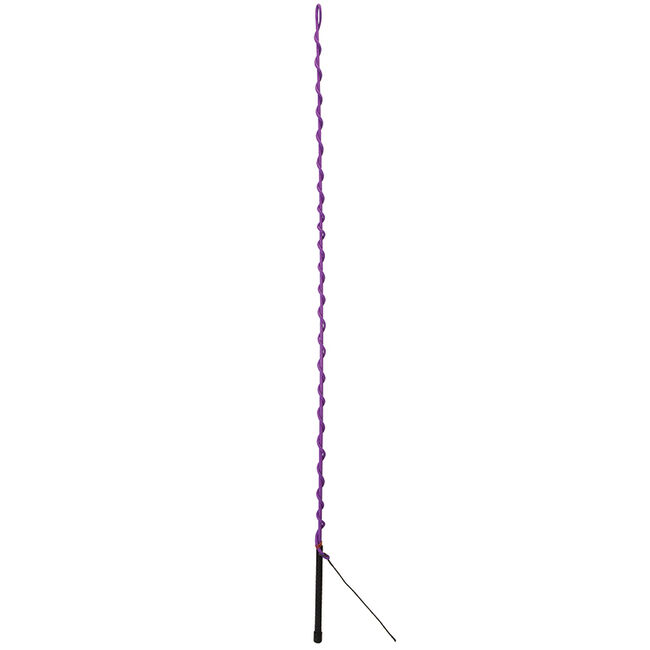 Weaver Graphite Lunge Whip image number null