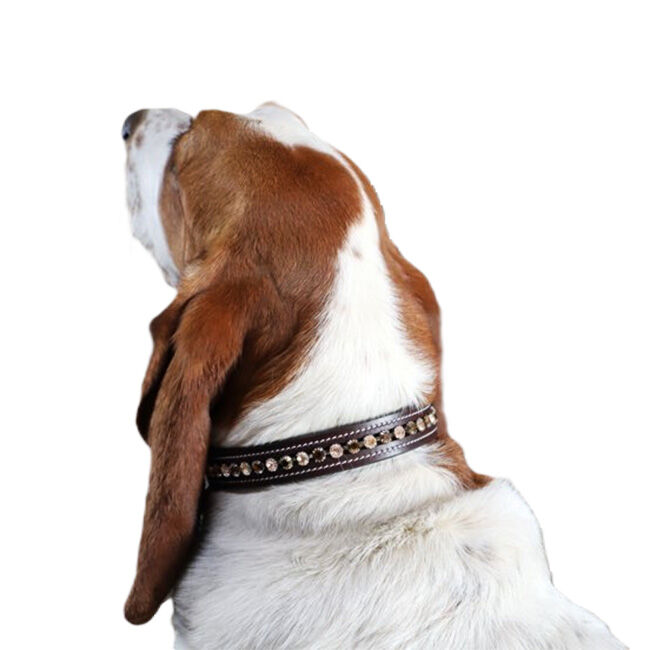 KL Select Crystal Dog Collar - Peaches & Creams image number null