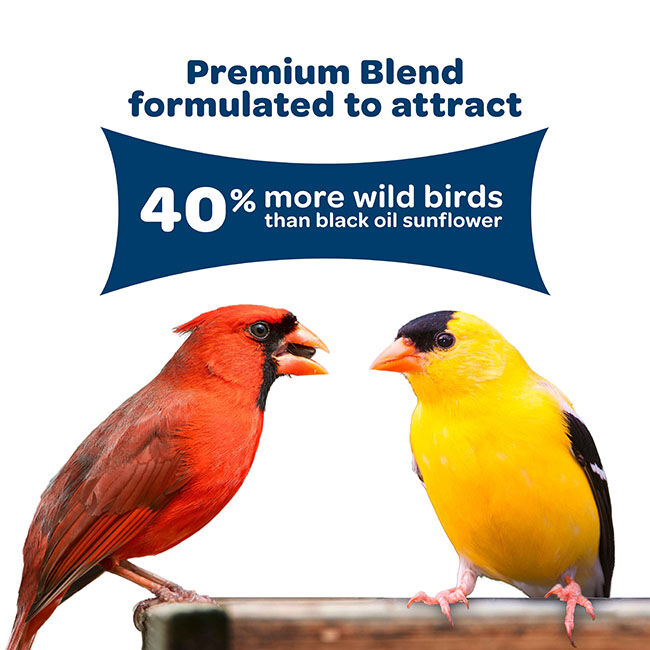 Kaytee Birders' Paradise Blend image number null