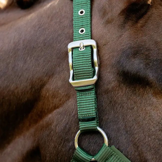 LeMieux Vogue Breakaway Halter - Hunter Green image number null