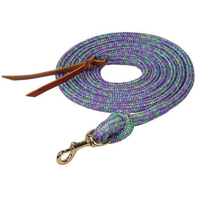 Weaver Poly Cowboy Lead with Snap, 5/8" x 10' image number null