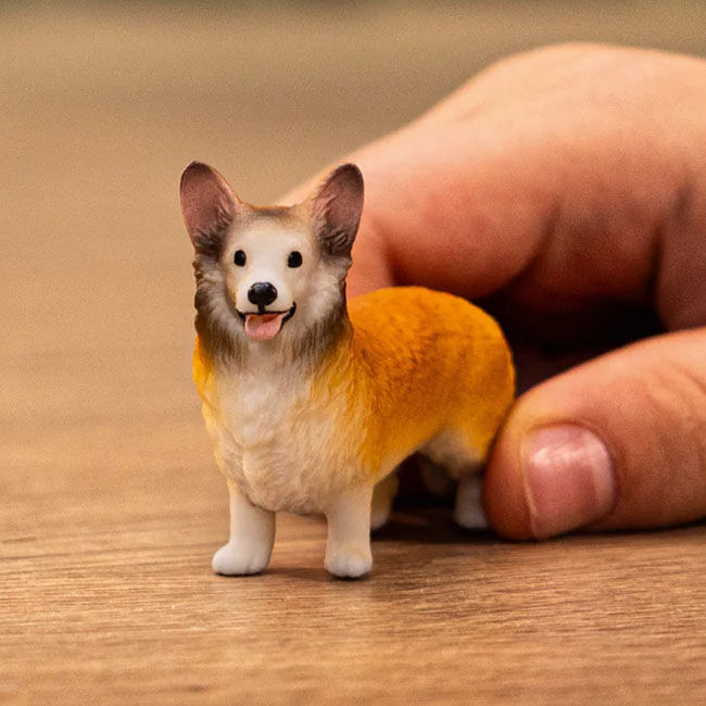 Schleich Welsh Corgi image number null