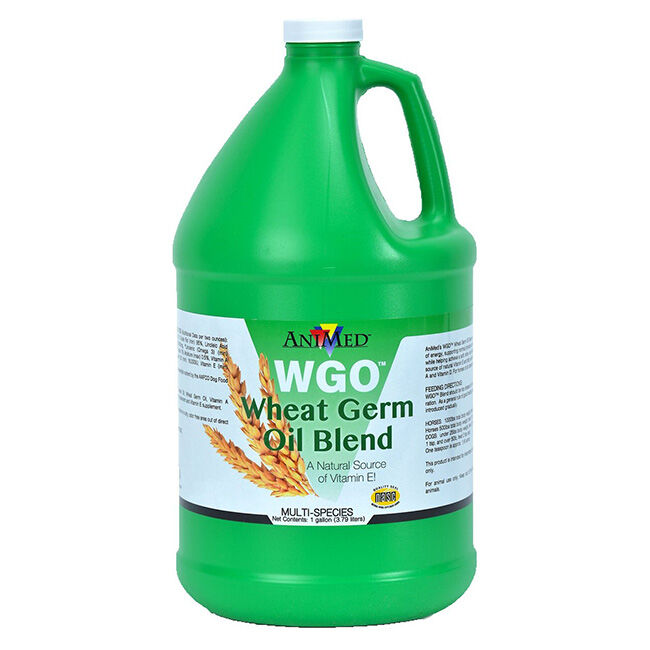 Animed WGO Wheat Germ Oil Premium Blend image number null