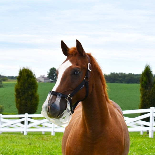 ThinLine Flexible Filly Slow Feed Grazing Muzzle image number null