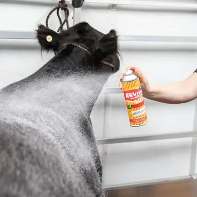 Sullivan's Revive Lite Skin & Hair Conditioner for Livestock image number null