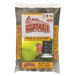 Shafer Seed Black Oil Sunflower Seeds