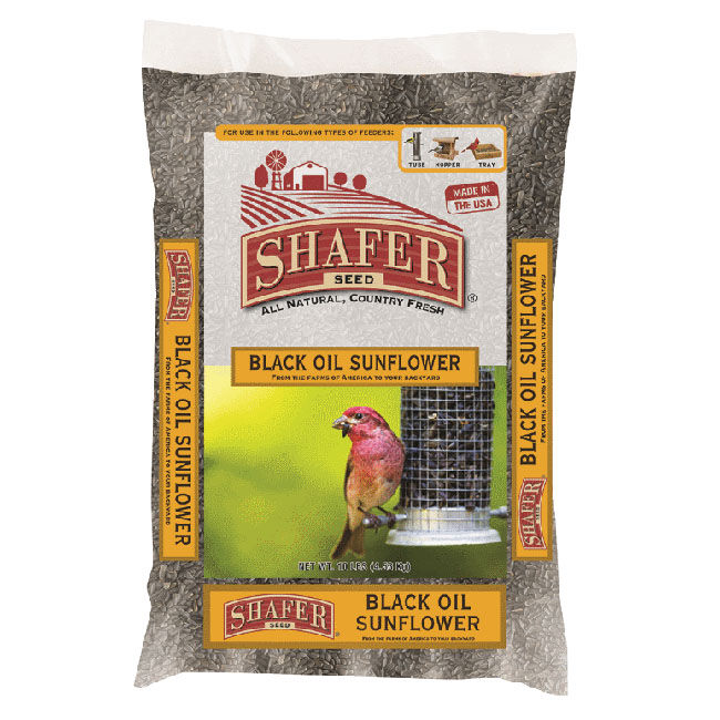 Shafer Seed Black Oil Sunflower Seeds image number null