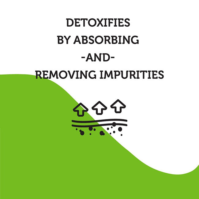 Espree Odor-Neutralizing Charcoal Shampoo for Horses - 16 oz image number null