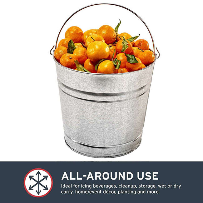 Behrens Galvanized Utility Pail - 12-Quart Capacity image number null