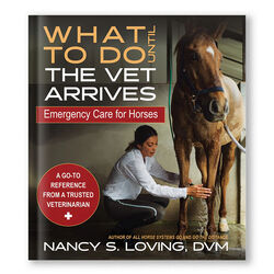 What to Do Until the Vet Arrives: Emergency Care for Horses