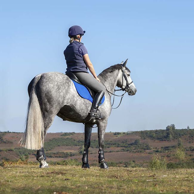 LeMieux Suede All Purpose Pad - Benneton Blue image number null