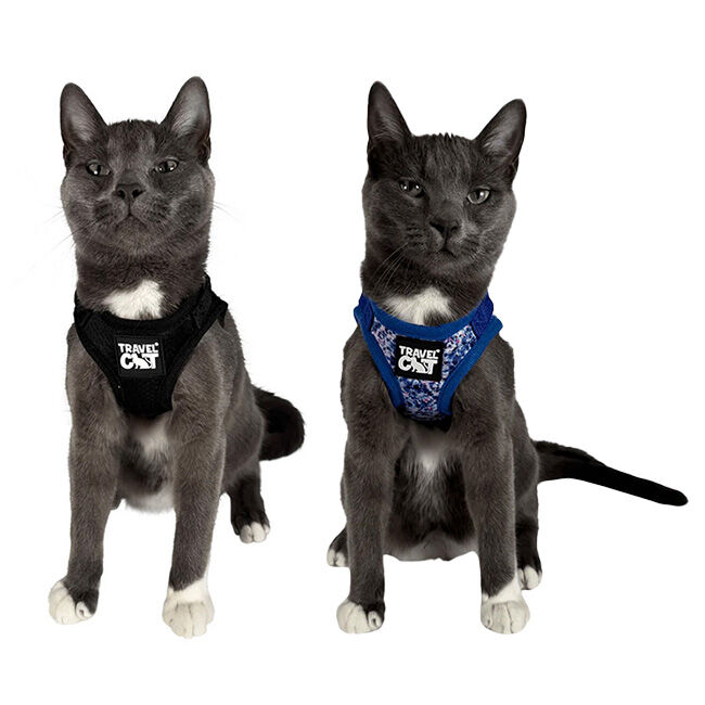 Travel Cat "The True Adventurer" Reflective Cat Harness & Leash image number null