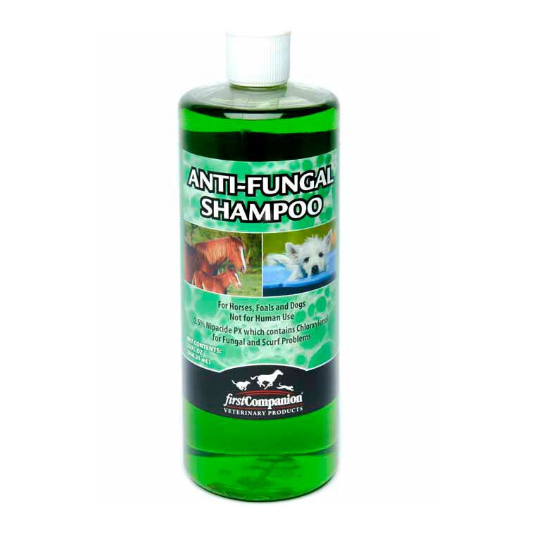 First companion hot sale antifungal shampoo