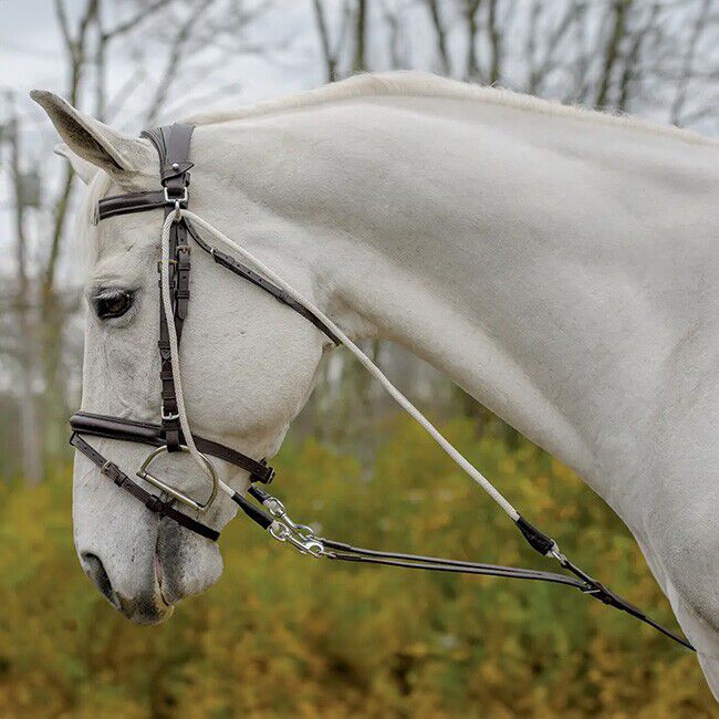 Shires Avignon de Gogue Training Aid image number null