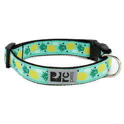 RC Pets Clip Dog Collar - Pineapple Parade