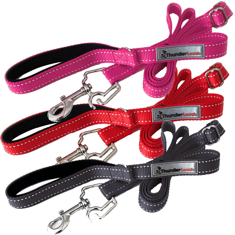 Thunder best sale leash harness